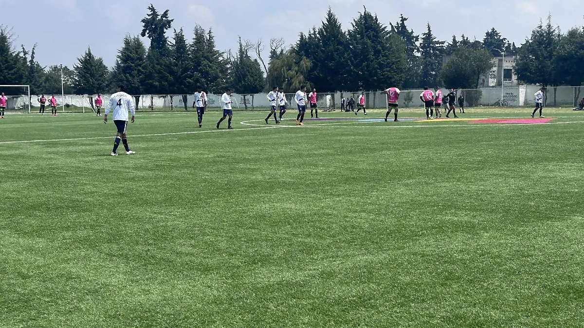 Torneo Metropolitano Valle de Toluca