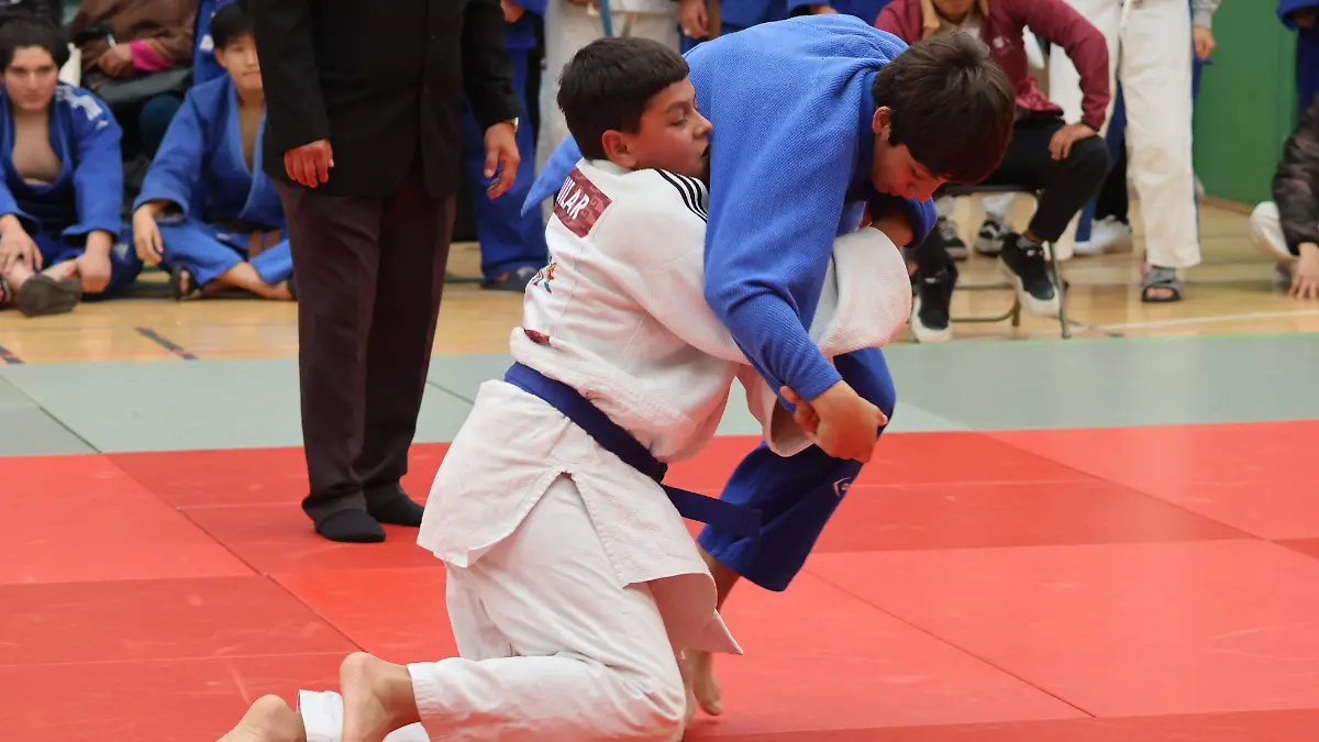 Judo1