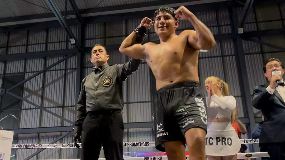 Boxeo Profesional Metepec