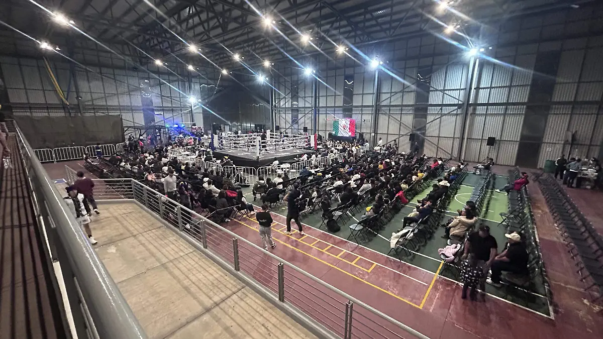 Boxeo Profesional Metepec