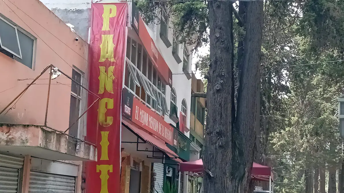 negocio-pancita-toluca