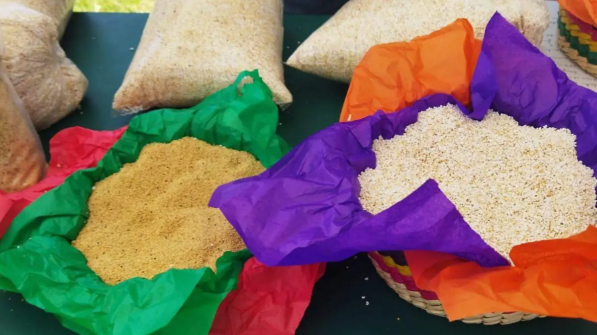 cultivo de amaranto 2