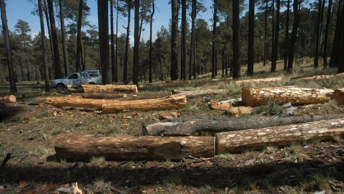 224694be-6c15-4b9d-a283-5137990b6f9a