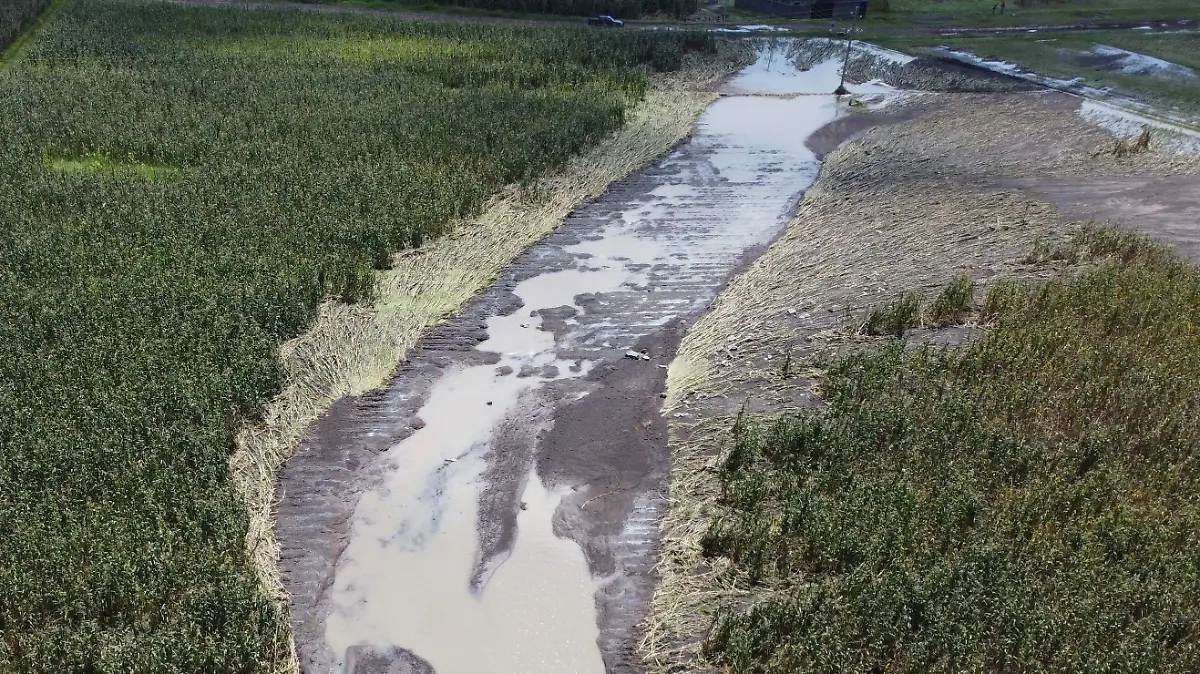 cultivos inundados 2