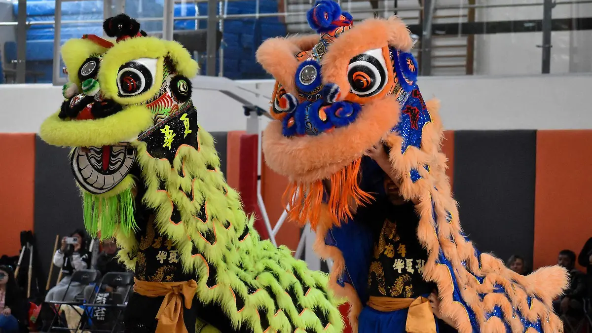 Kendo Estado de México