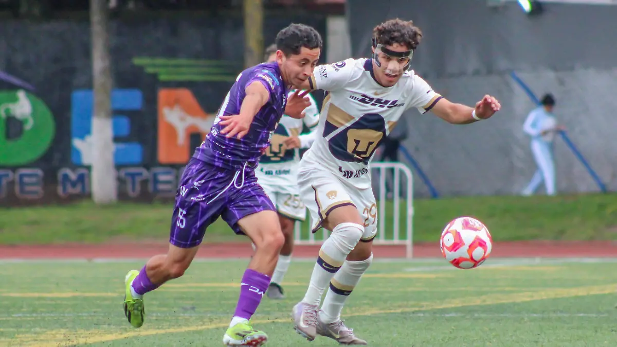 Artesanos FC Copa Promesas MX