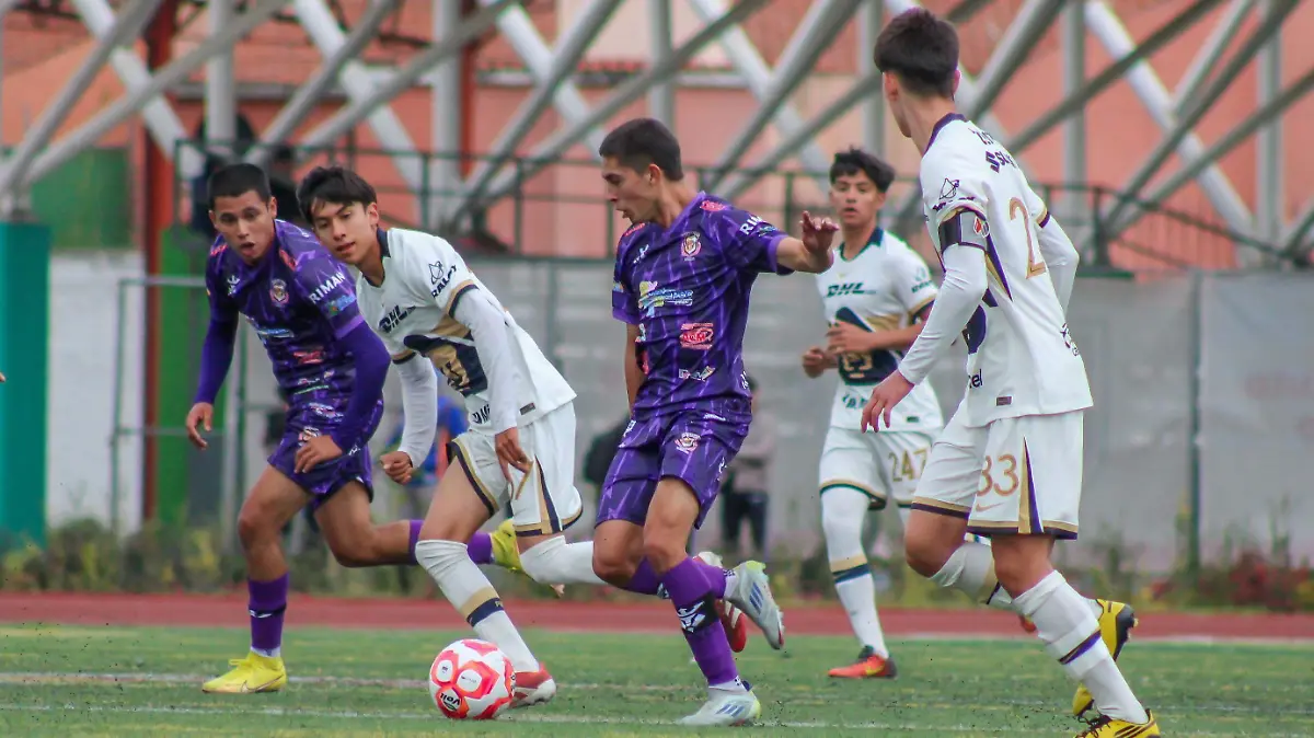Artesanos FC Copa Promesas MX