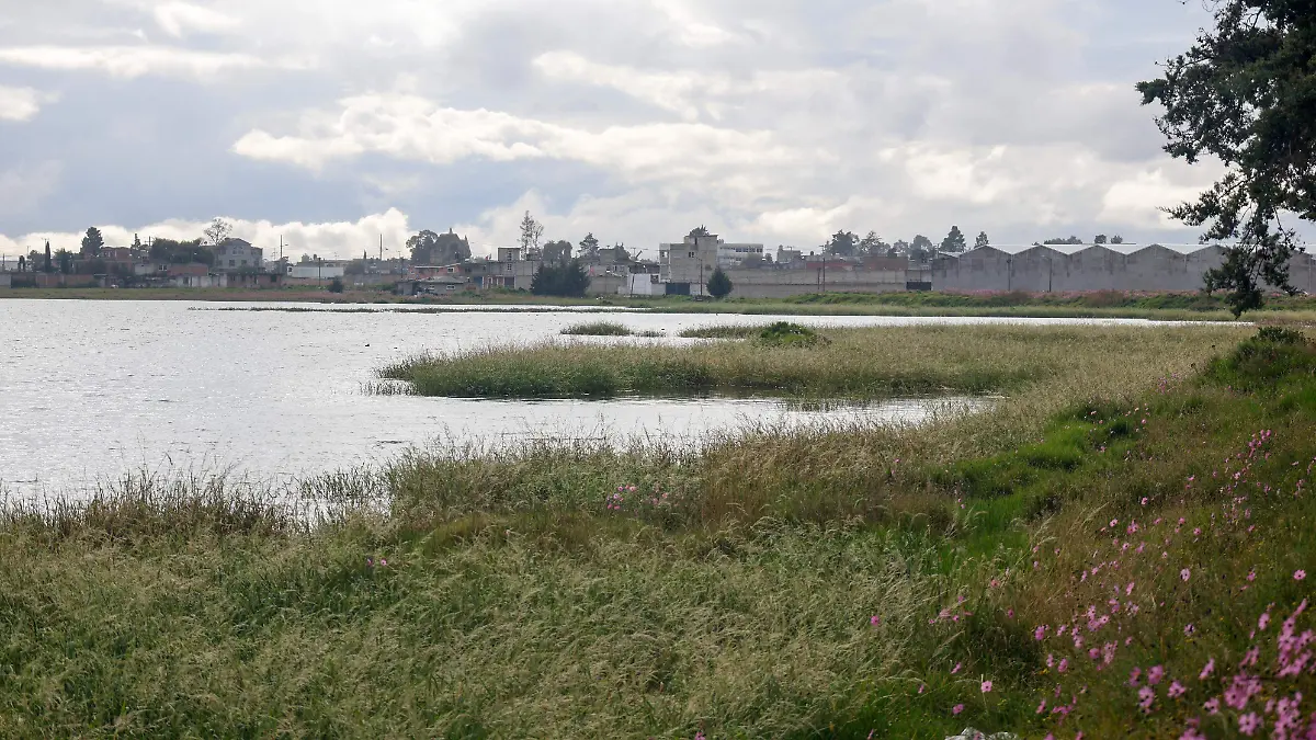 Bordo de San Jerónimo 