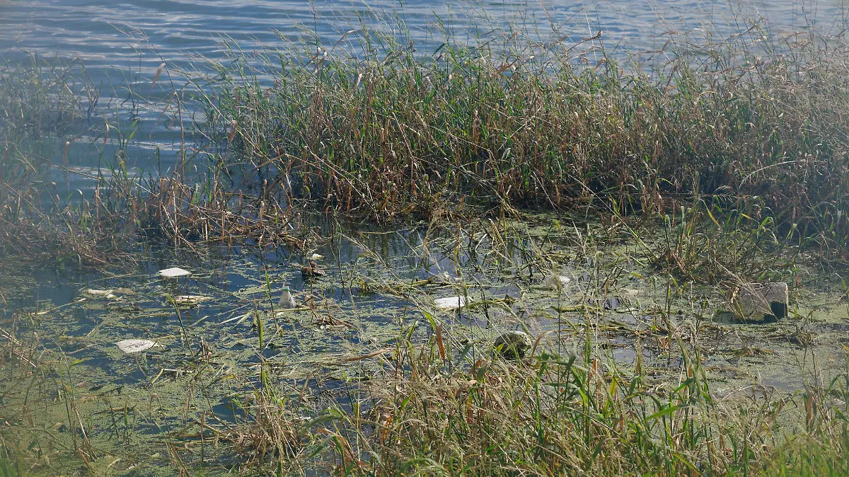 Bordo de San Jerónimo 