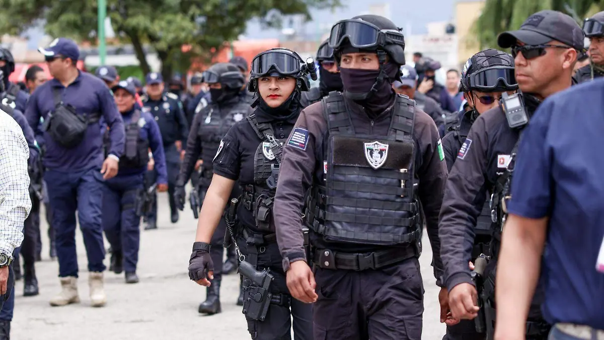 conciertos Alfeñique 2