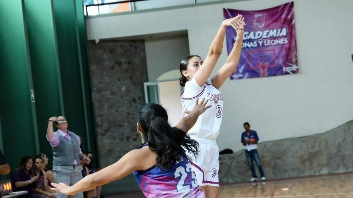 Dragonas2