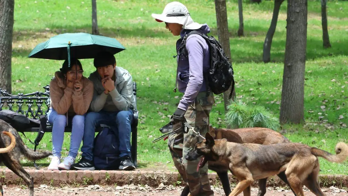 animales de terapia 2 
