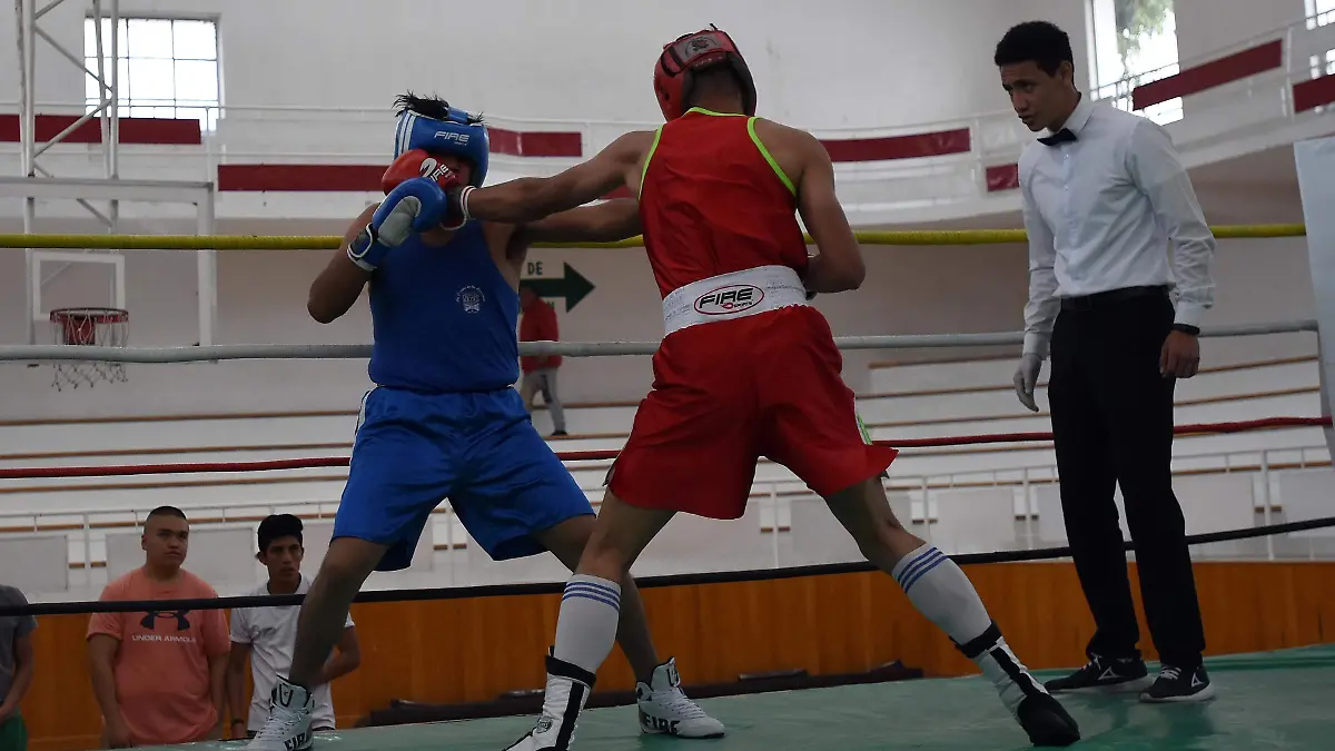 Boxeo2