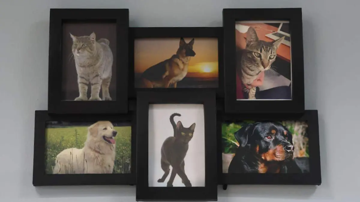 WhatsApp Image 2025-10-28 at 13.56.27