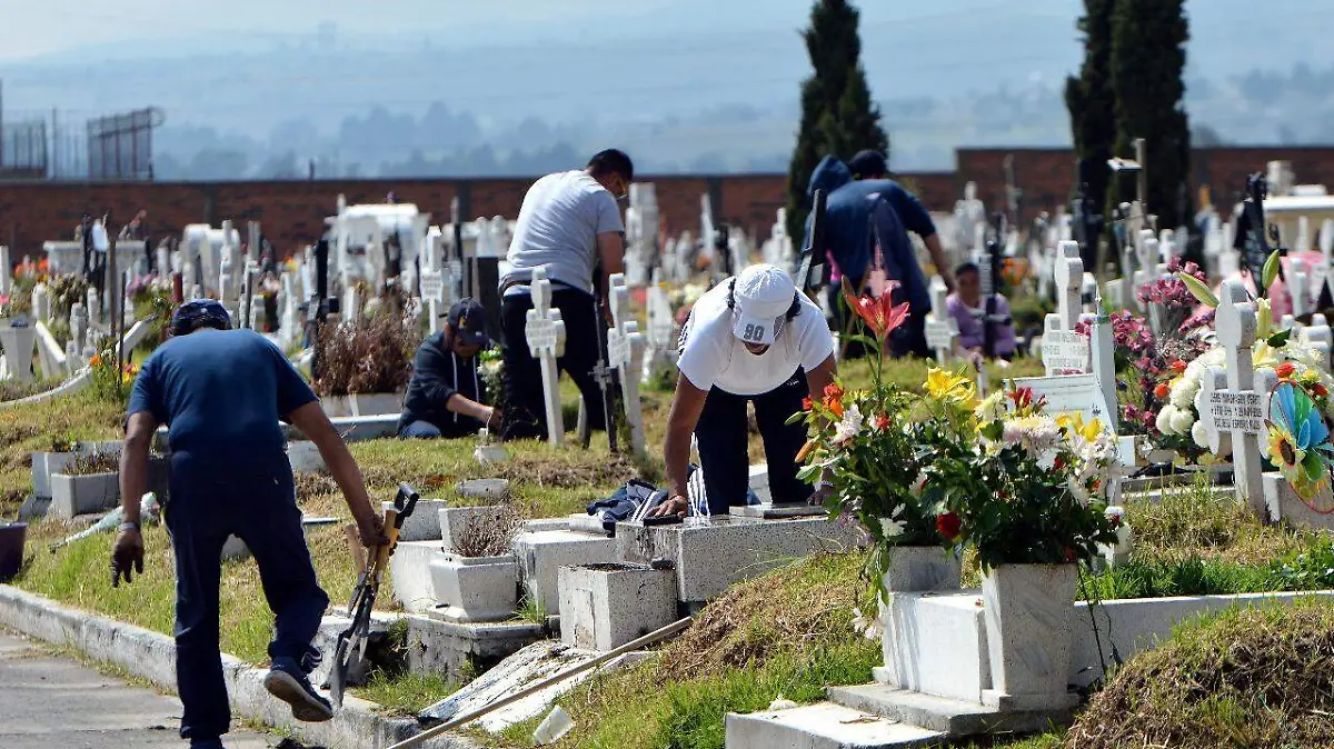 bd8d42d2-52ba-4d92-bd6d-1389a66acda8