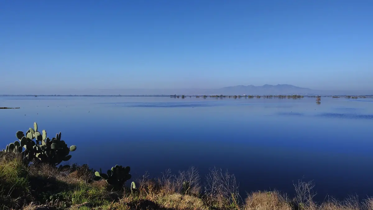 laguna-de-zumpango