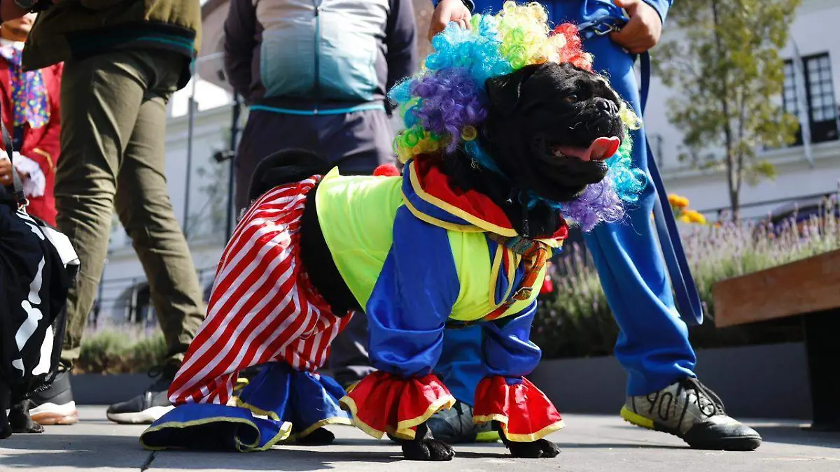 084a583b-022a-4d37-a6e0-a212f5fbfb70