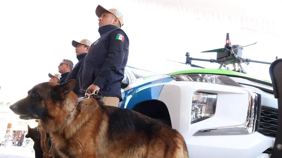 Policía de Atención Ambiental y Protección Animal Metepec