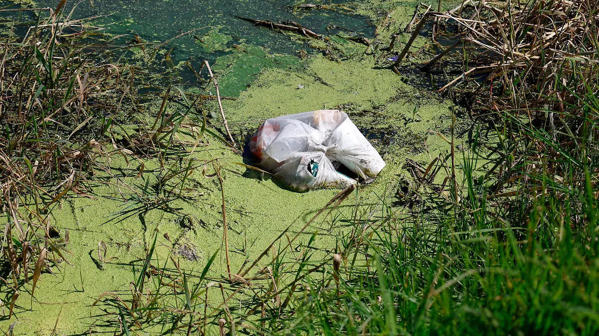 Bordo de San Jerónimo