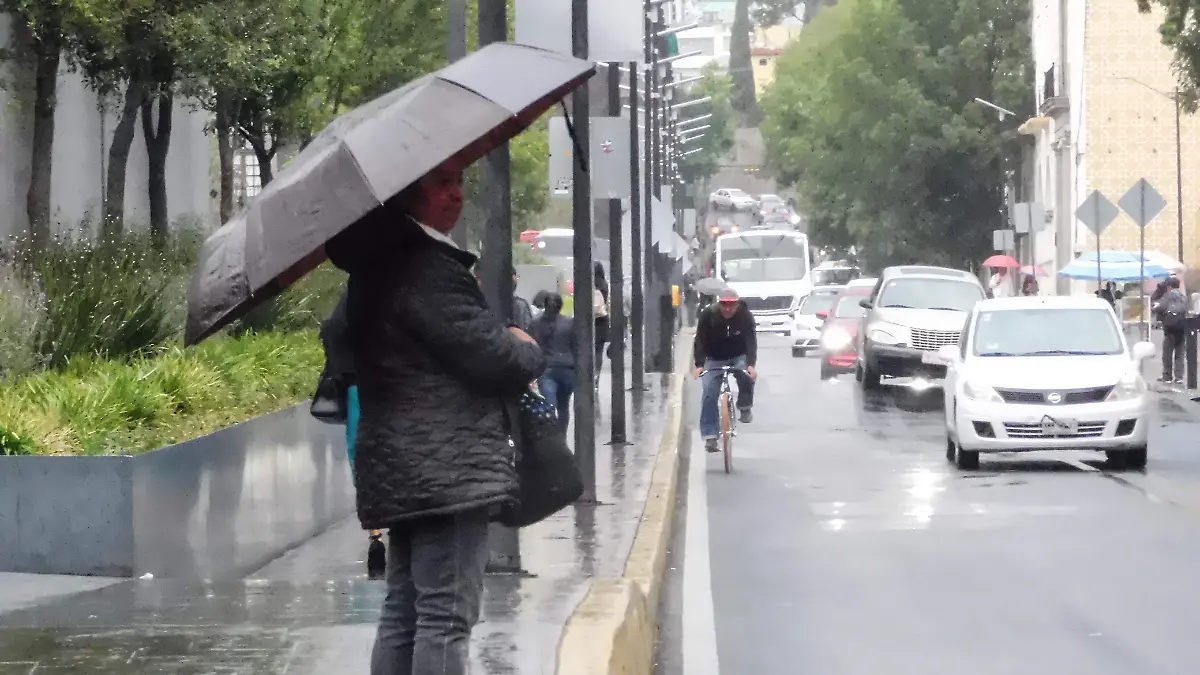 WhatsApp Image 2025-11-09 at 16.14.25