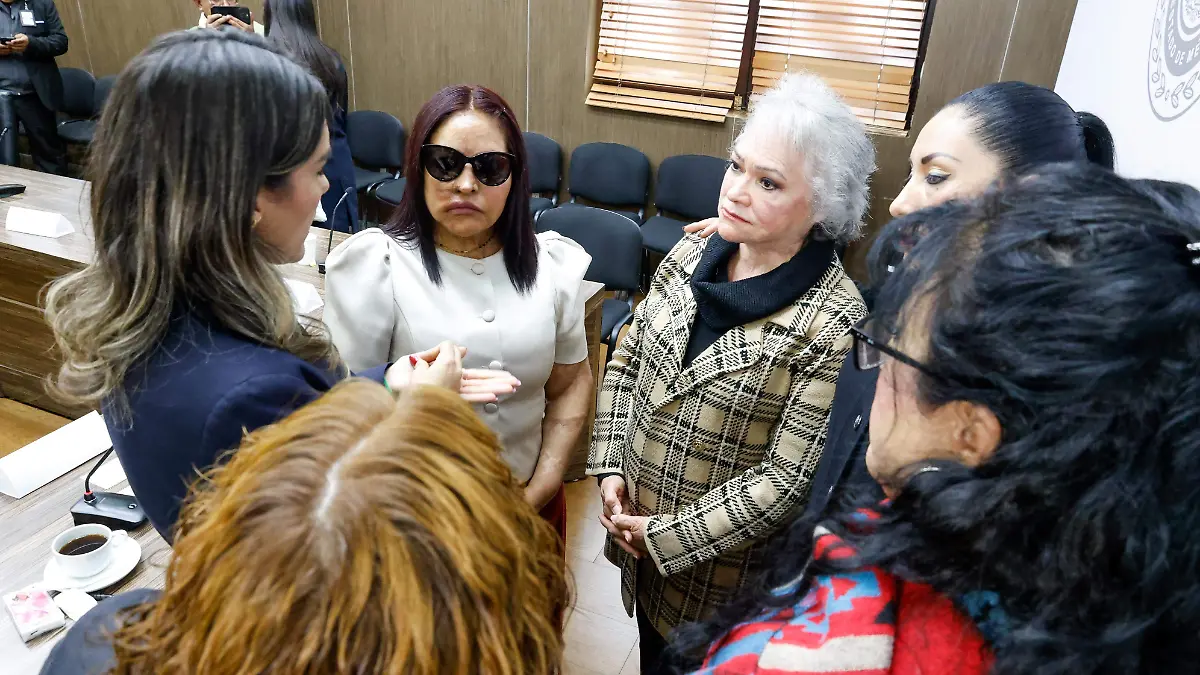 Entrevista Carmen Sánchez_ Iniciativa Violencia Química