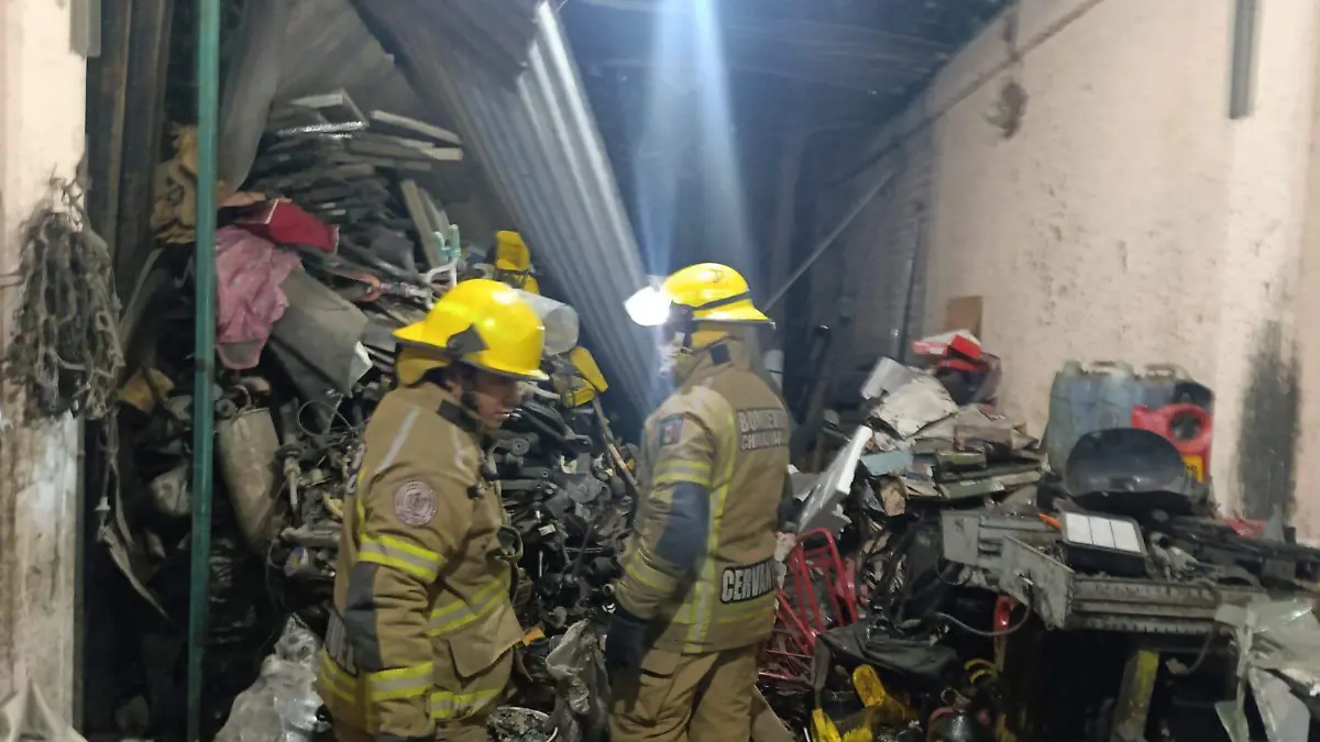 WhatsApp Image 2025-11-11 at 11.18.34