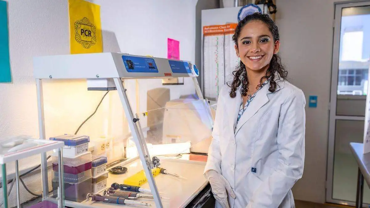 WhatsApp Image 2025-11-12 at 07.15.11