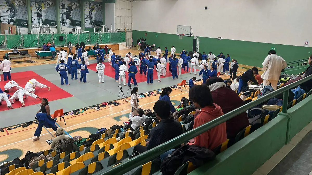Judo UAEMex