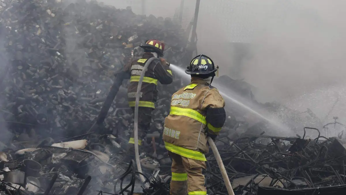 d8e96b4a-0031-4eff-a584-62c1f5136c65