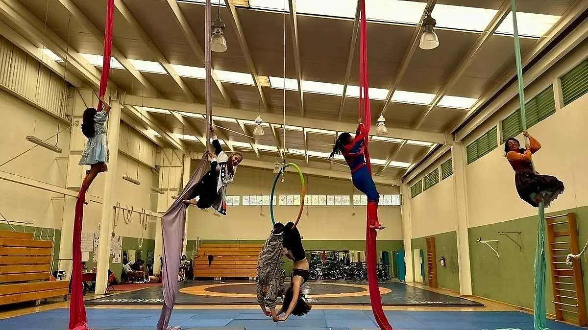 Danza Aérea