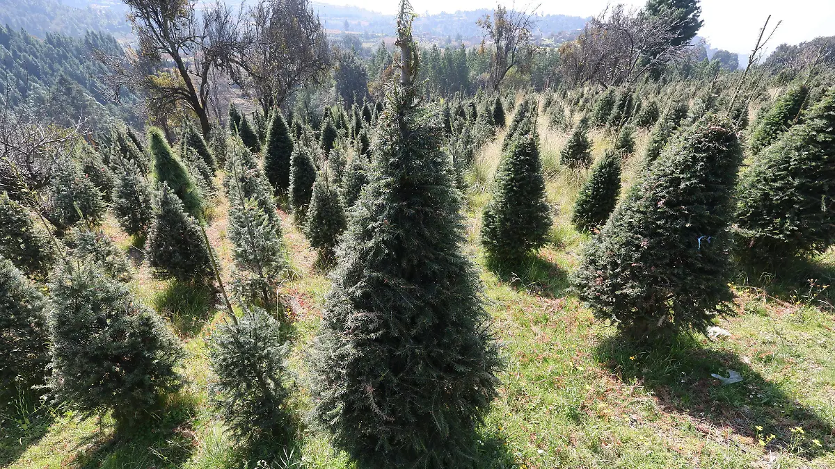 d1d2b87f-5117-48cc-b4be-5884e8b7d777