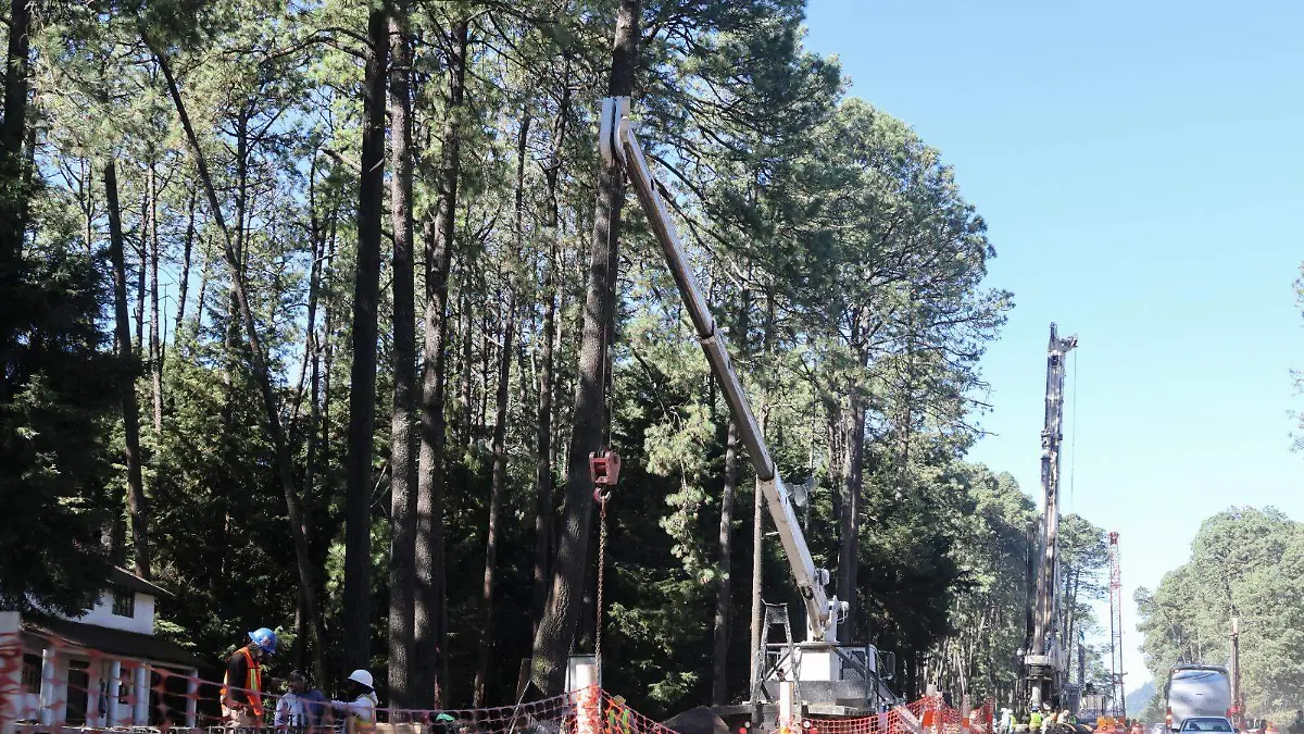 tala-pinos-carretera-toluca-ciudad-altamirano