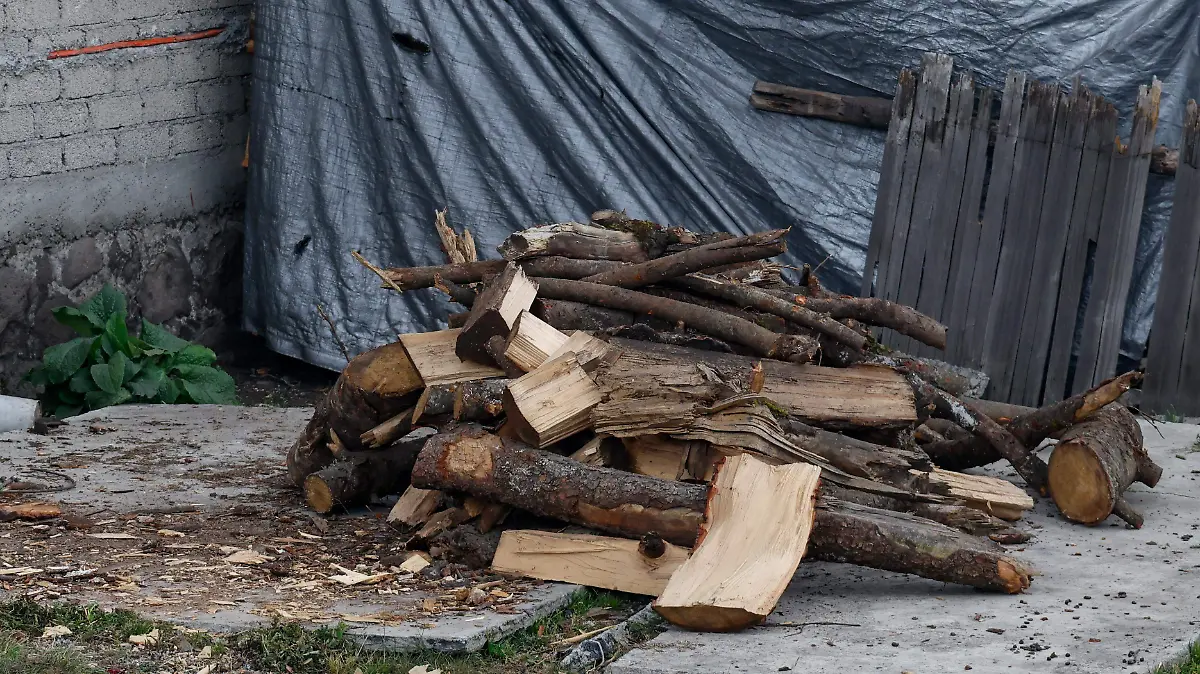 Raíces_historia de frío 