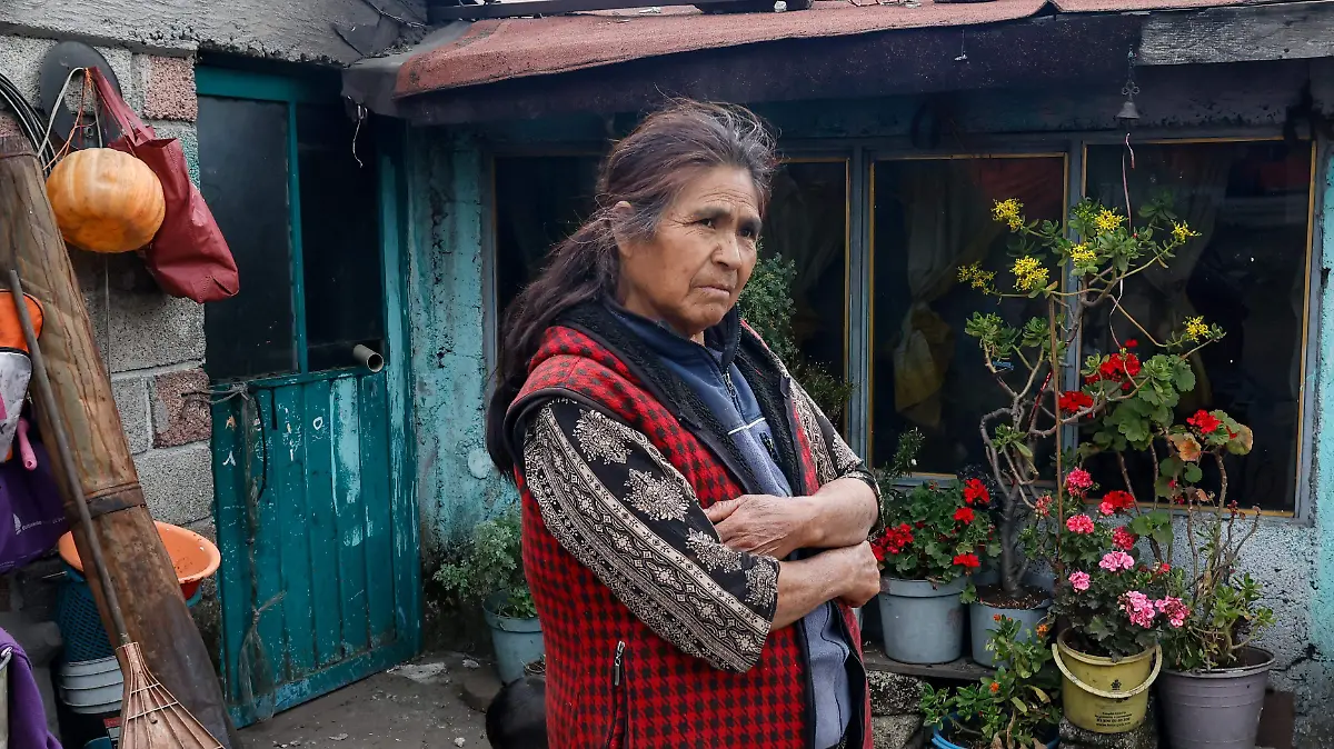 Raíces_historia de frío 