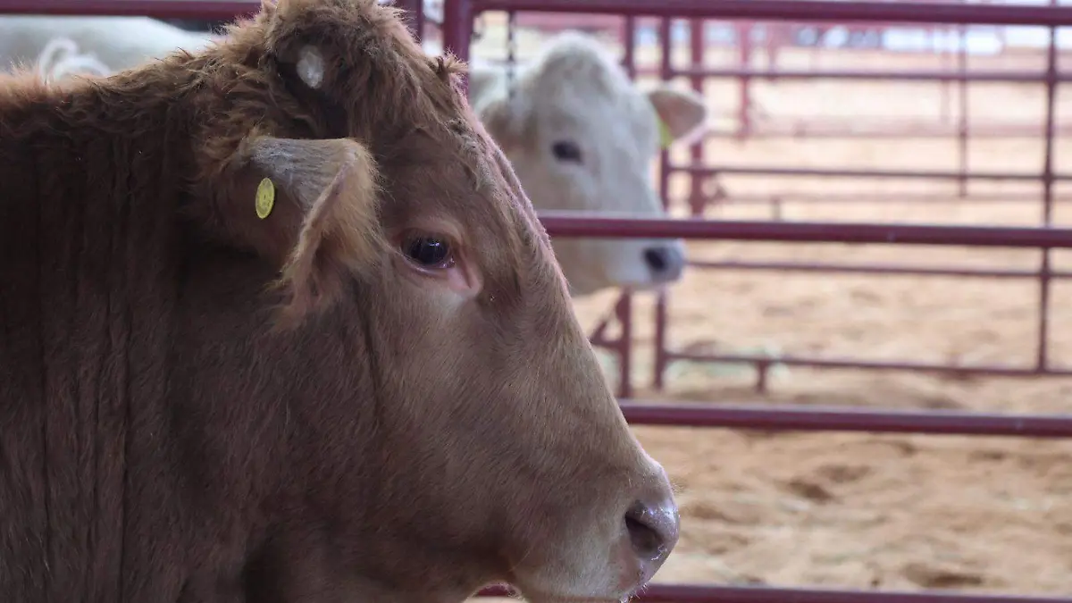 11f04638-3413-436c-bc31-1de6e45871b0