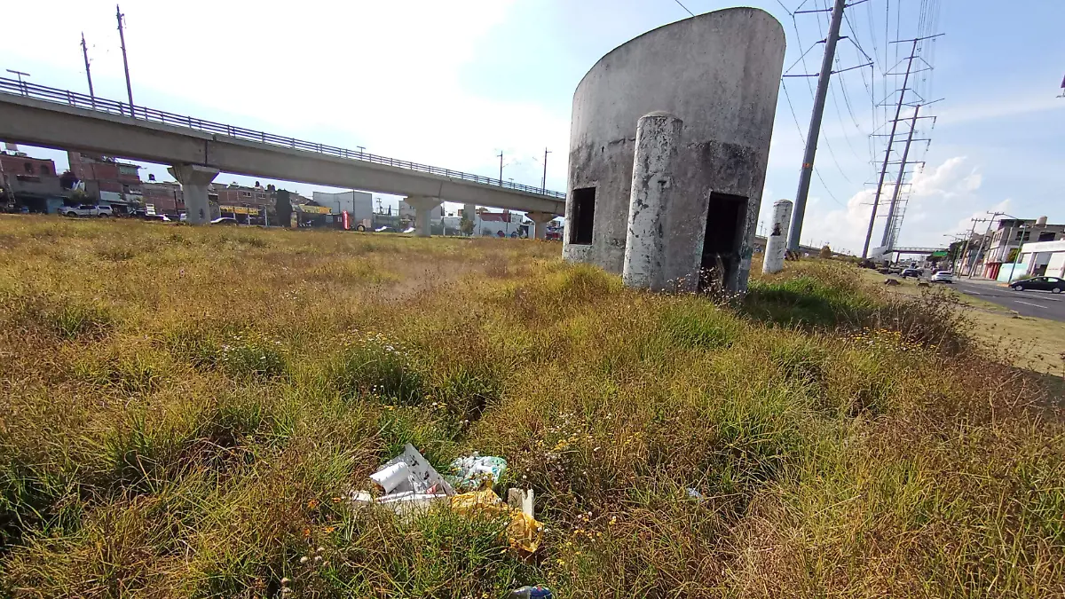 areas-verdes-descuidadas-las-torres