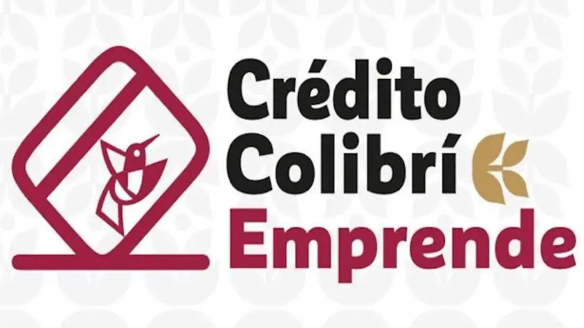 WhatsApp Image 2025-12-07 at 15.46.45