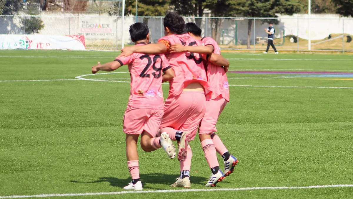 Ajolotes de Lerma FC