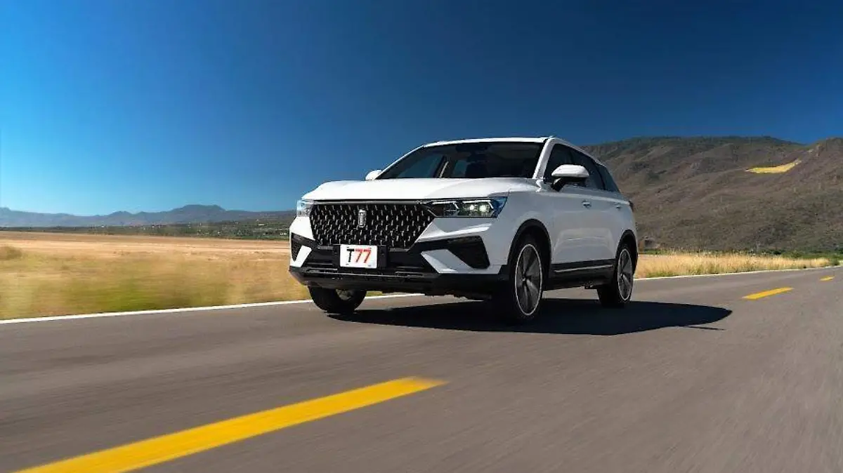 Image 2025-12-22 at 18.13.51