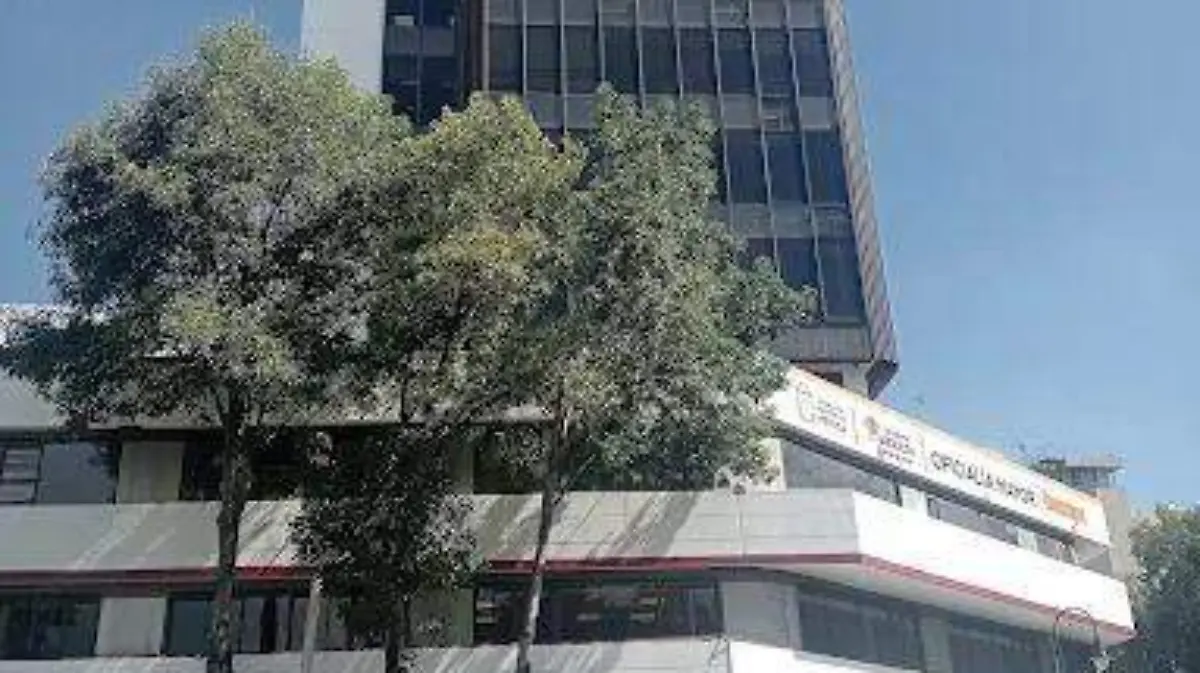 WhatsApp Image 2025-12-23 at 14.46.16