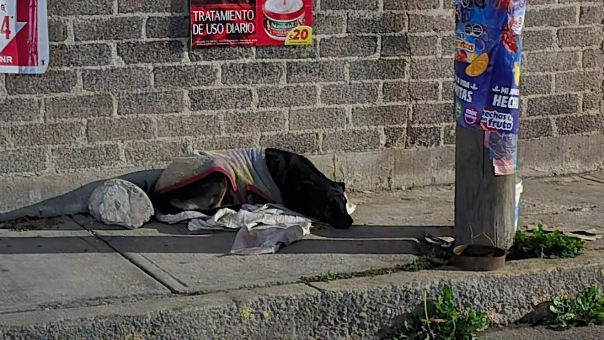 72a23bfa-c6b5-4a64-9b69-2854173ddb32