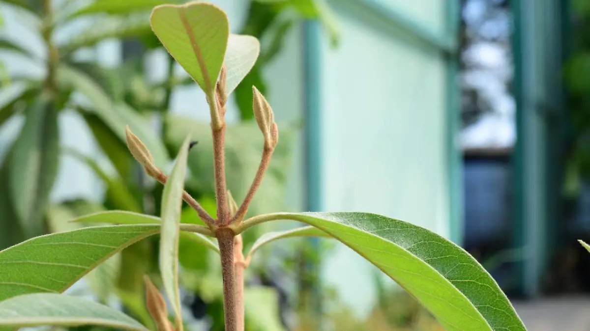 a6908ebc-708e-4cdb-a23c-74016595c77a