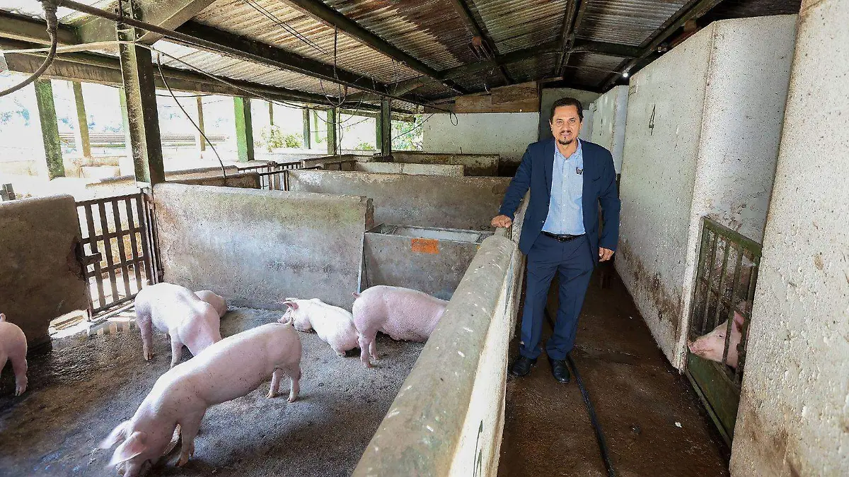 investigador UAEMex 2 