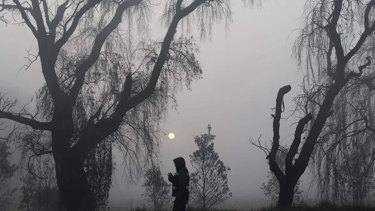 WhatsApp Image 2026-01-01 at 08.28.21