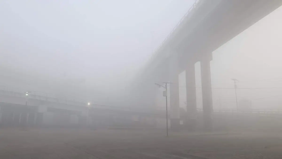 WhatsApp Image 2026-01-01 at 08.28.21 (1)