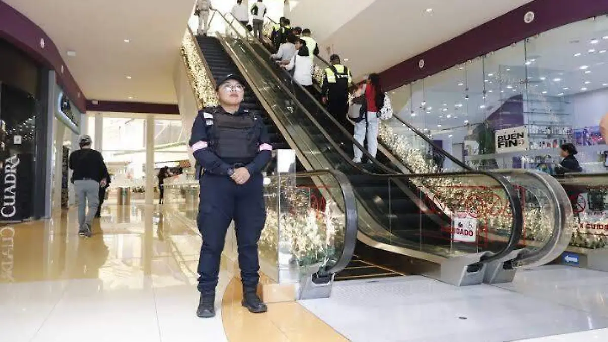 operativo reyes magos 3 