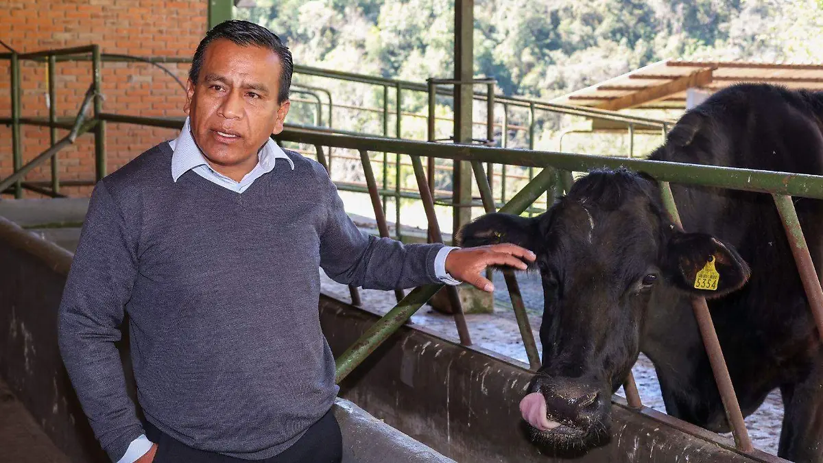 6569459d-06ef-4ac1-a114-f1524c858026