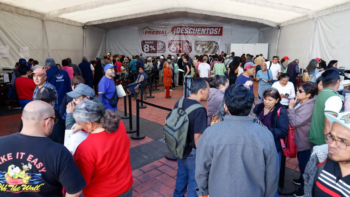 WhatsApp Image 2026-01-05 at 17.12.48