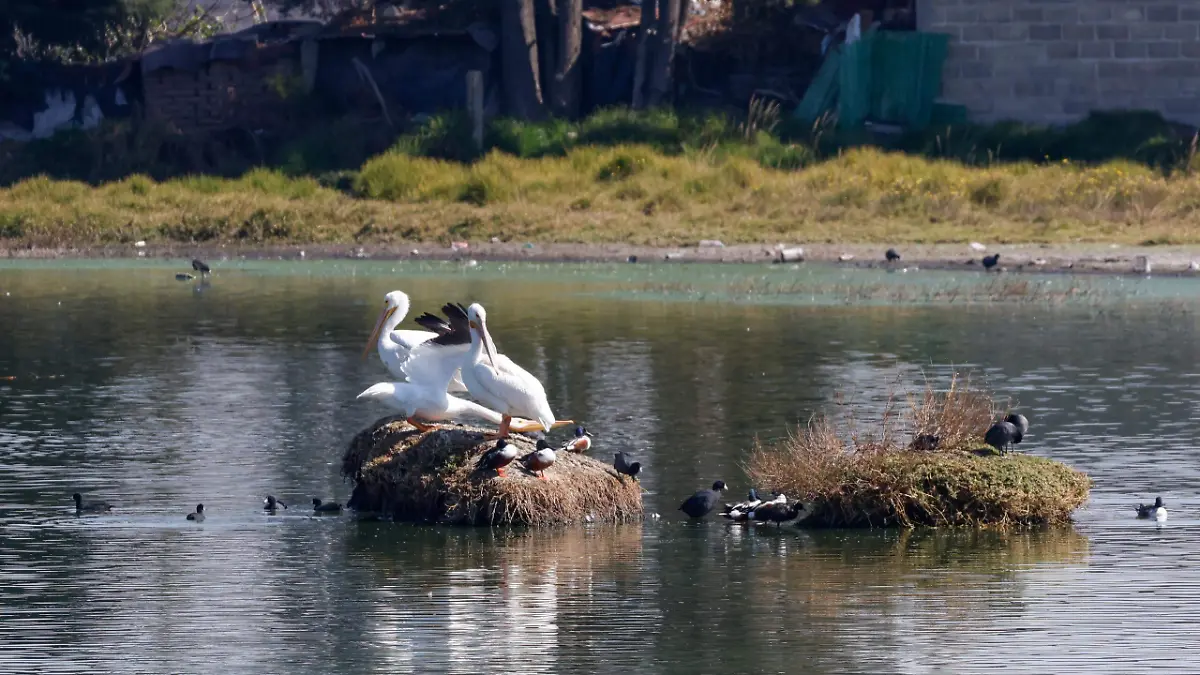 WhatsApp Image 2026-01-05 at 15.59.15