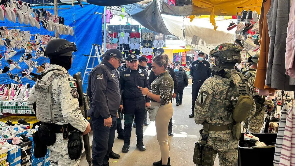 mercado de palmillas